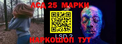 стафф Новокубанск