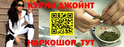СК Новодвинск