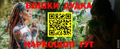стафф Новокубанск