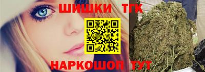 СК Новодвинск