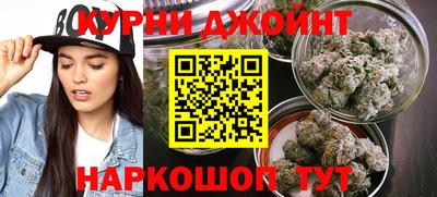мяу мяу мука Новозыбков