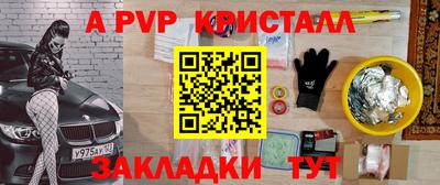 СК Новодвинск