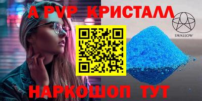 СК Новодвинск