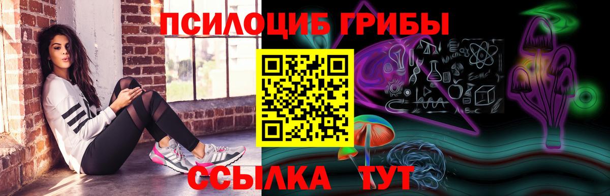 Галлюциногенные грибы Cubensis  Галлюциногенные грибы Psilocybine cubensis  наркошоп  Вход с VPN  Тихвин 